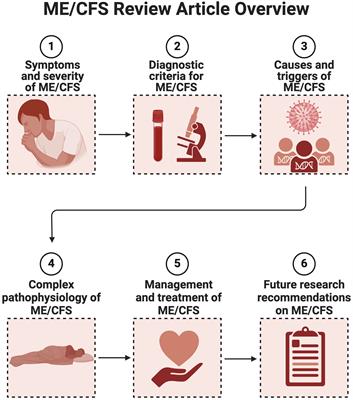 Myalgic Encephalomyelitis/Chronic Fatigue Syndrome: the biology of a neglected disease